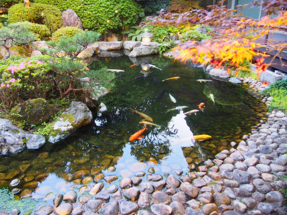 玉造温泉・佳翠苑皆美の庭園の池
