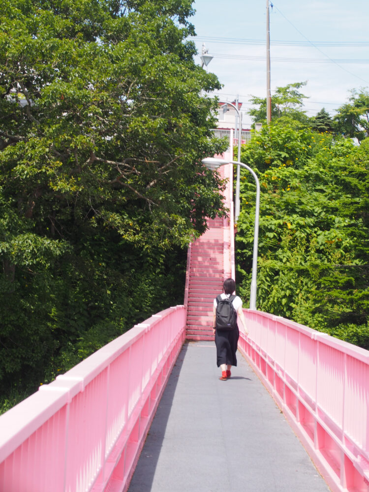 厚岸駅から厚岸グルメパークに向かい歩いているところ