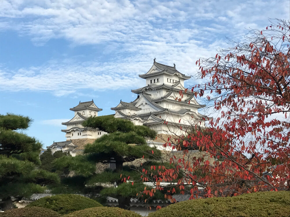 西の丸から眺めた姫路城天守