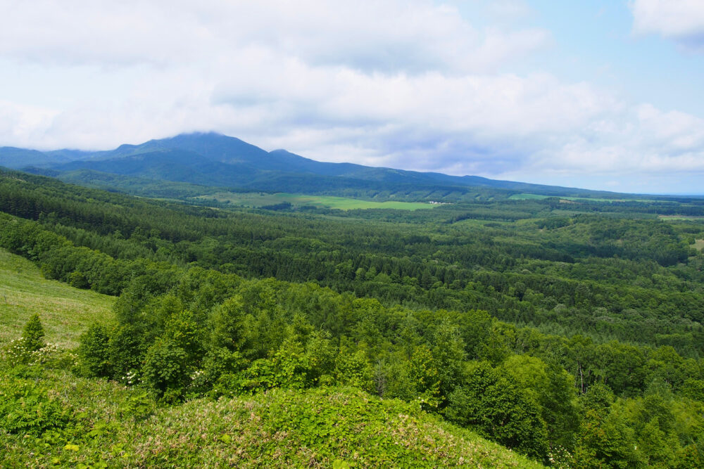 展望台から知床連山方面を眺めた景色