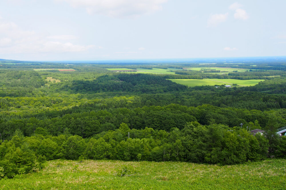 展望台から国後島方面を眺めた景色