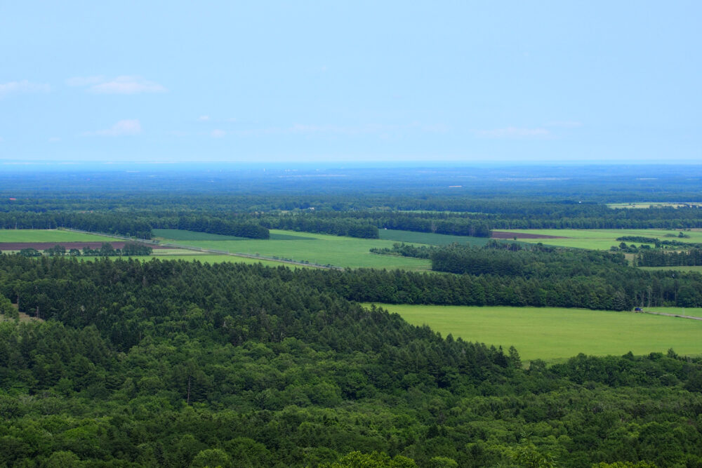 開陽台から眺めた格子状防風林」