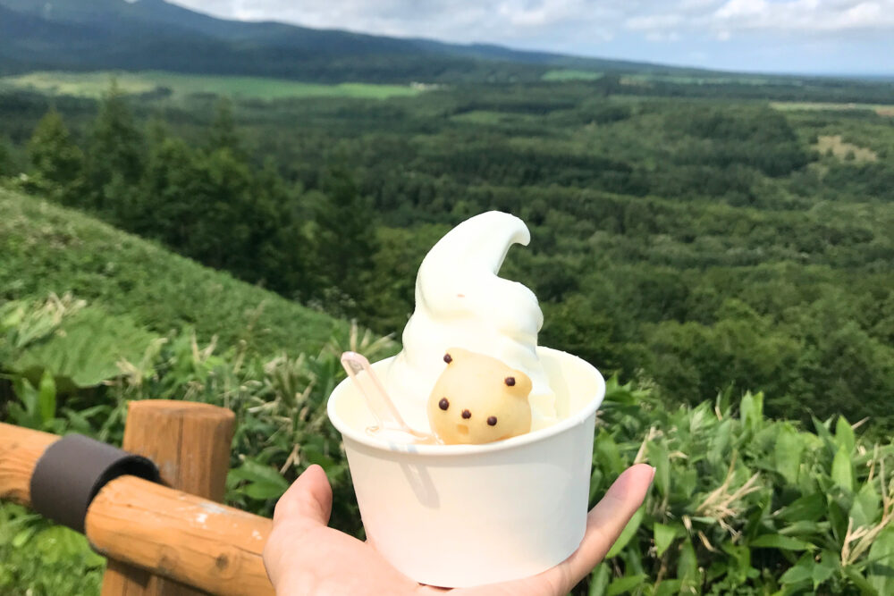開陽台のカフェで購入したしあわせのはちみつソフト