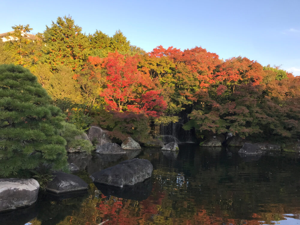 好古園・潮音斎から眺めた御屋敷の庭。奥には紅葉した木々と滝が見え、手前には広々とした池。