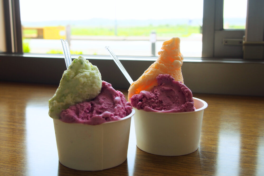 インフォメーションセンターで買ったアイス。