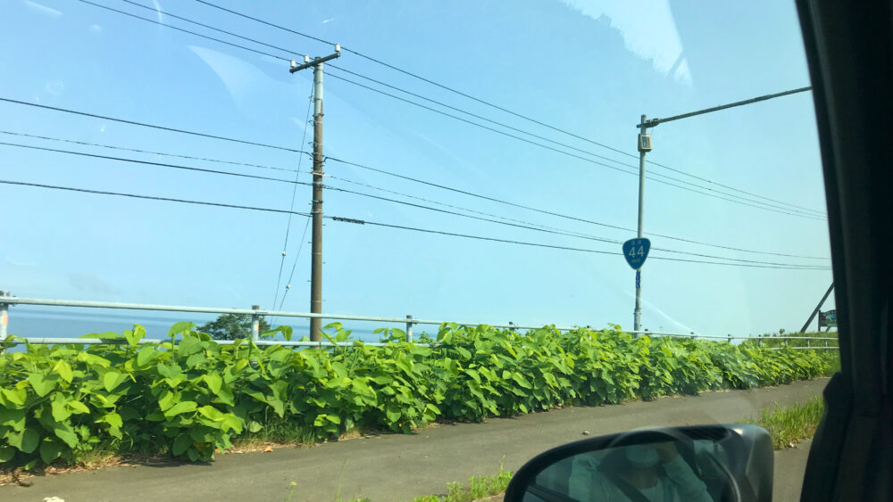 落石岬へ向かう途中のドライブの様子