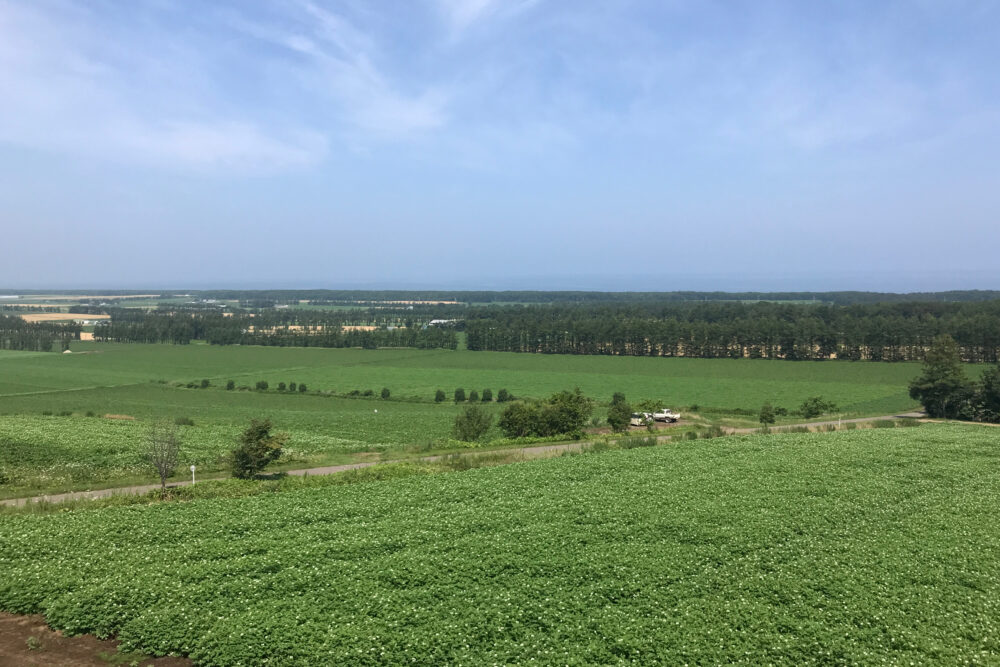 天に続く道の展望台からみた景色。