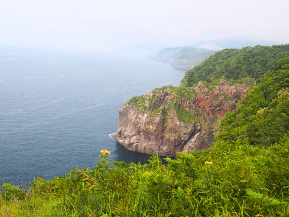 原生林散策ツアー。象の鼻展望付近からみた景色。