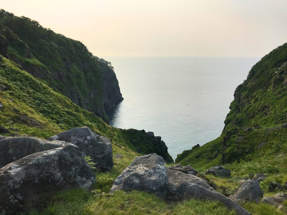 原生林散策ツアー。終盤立ち寄ったスポットから眺めた海の様子。
