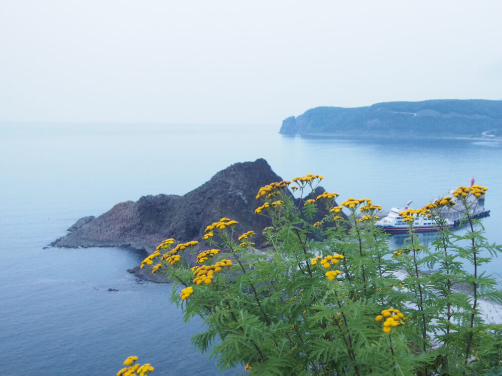 オロンコ岩頂上から眺めたウトロ崎と三角岩。