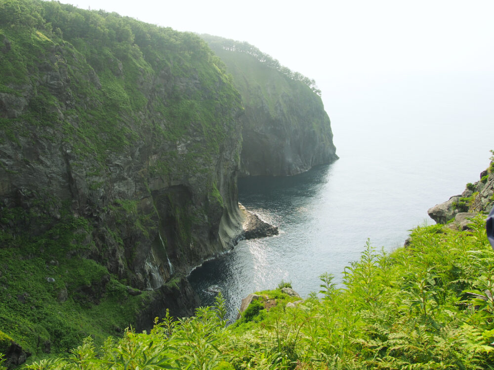 原生林散策ツアー。湯の華の滝（男の涙）