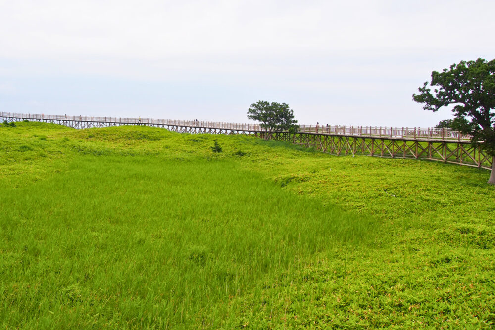 知床五湖一周ツアー。高架木道。