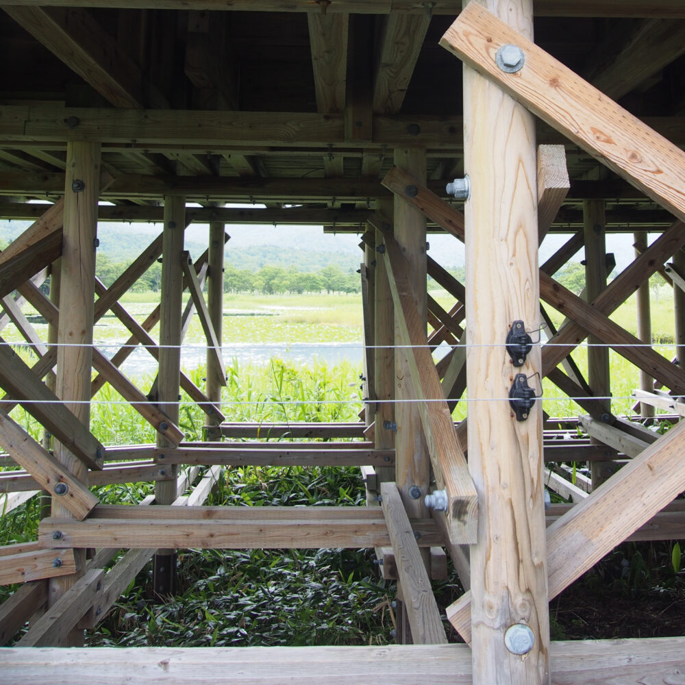 知床五湖一周ツアー。高架木道に張られた電気ワイヤー