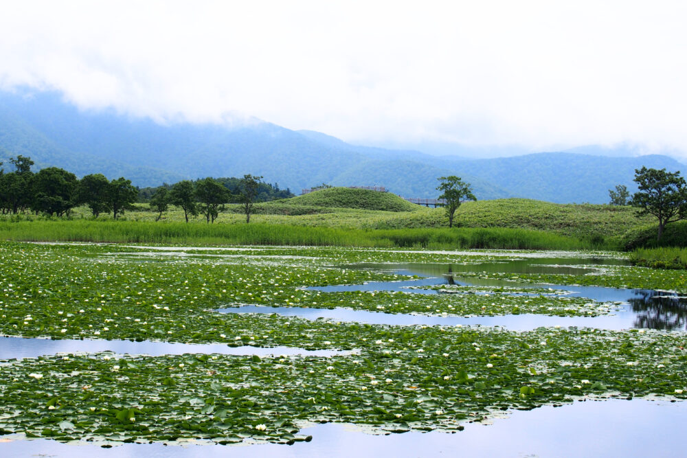 知床五湖一周ツアー。一湖の様子。