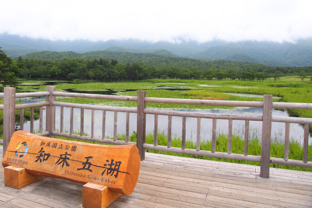 知床五湖一周ツアー。高架木道からの一湖の景色。