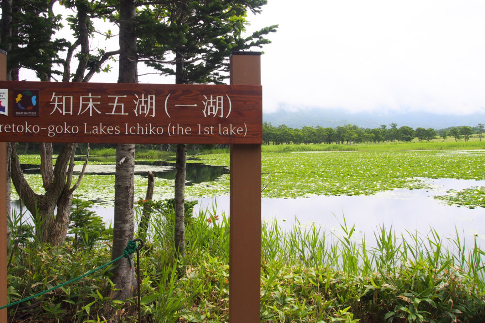 知床五湖一周ツアー。一湖へ到着。