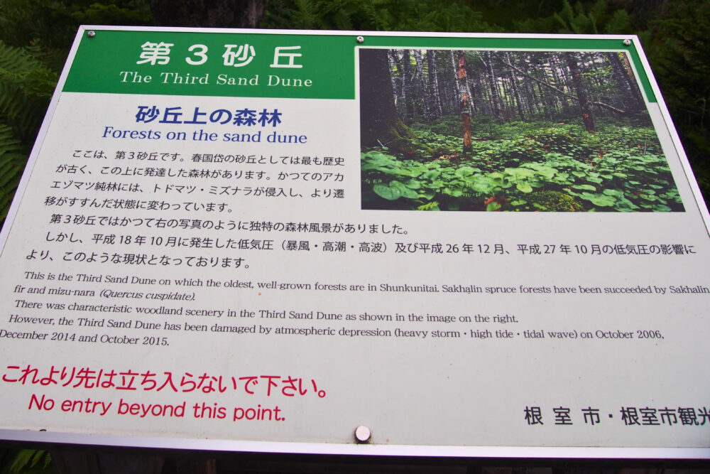 春国岱。第３砂丘の説明看板。