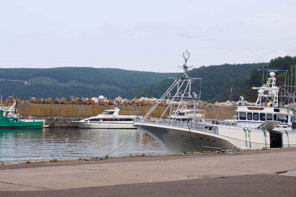 ウトロ漁港の様子