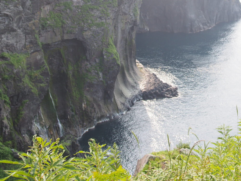 原生林散策ツアー。湯の華の滝（男の涙）