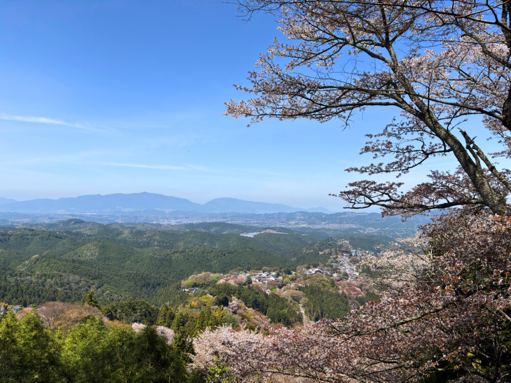 花矢倉展望台からみた景色