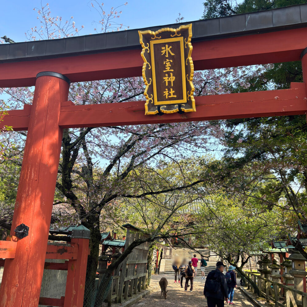 氷室神社の入口（鳥居）
