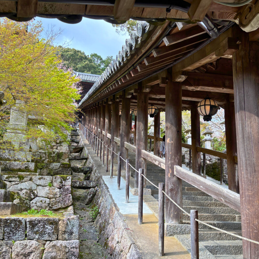 中廊から見た上廊の様子