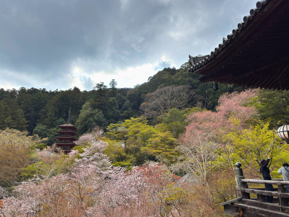 本堂の舞台部分から右手をみた様子。五重塔が見える。