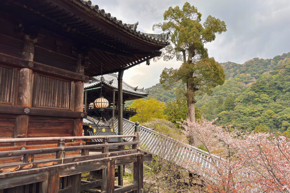 本堂の舞台部分から左手をみた様子。登廊が見える。