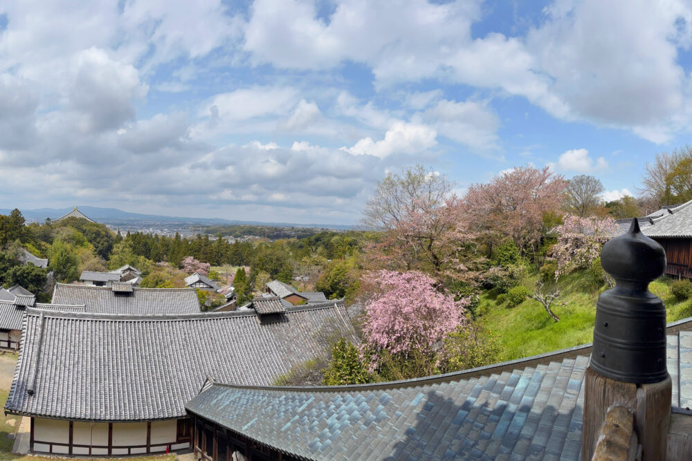 二月堂から眺めた様子。大仏殿屋根や、奈良の町並みが見える。