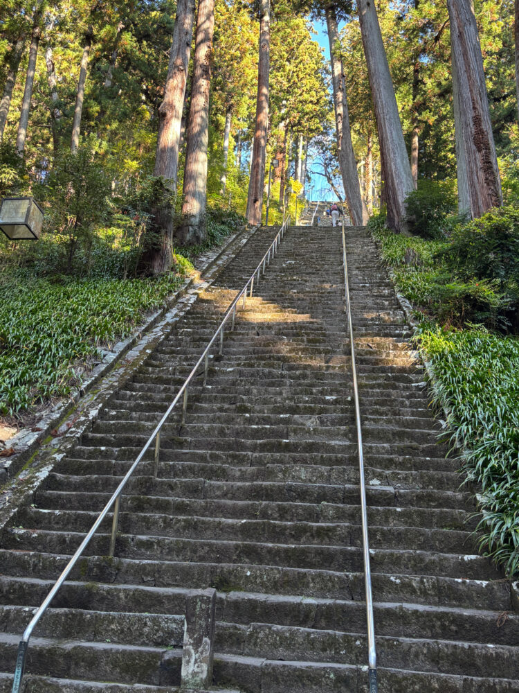 下から見上げた菩提梯