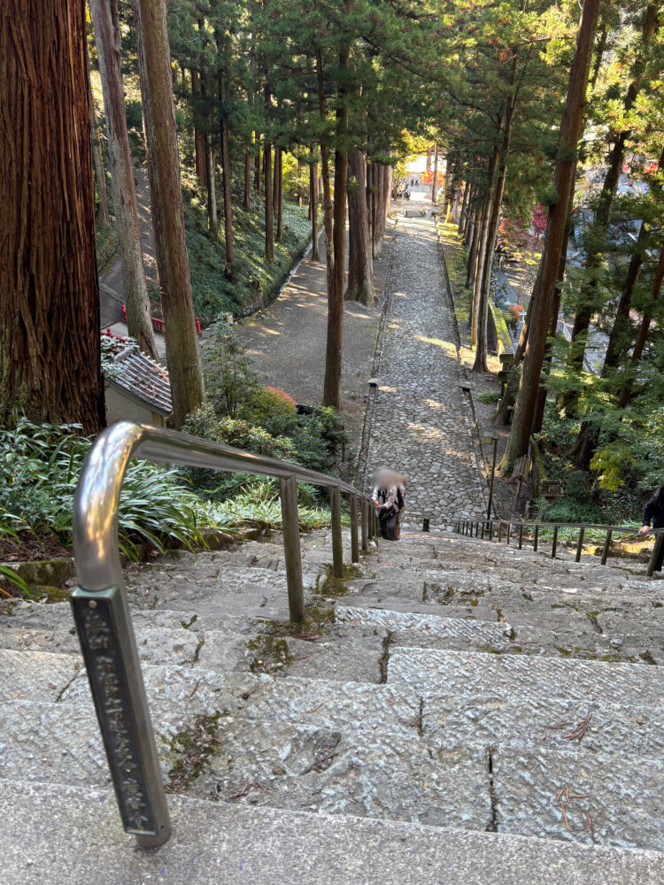 菩提梯を登っていいる様子