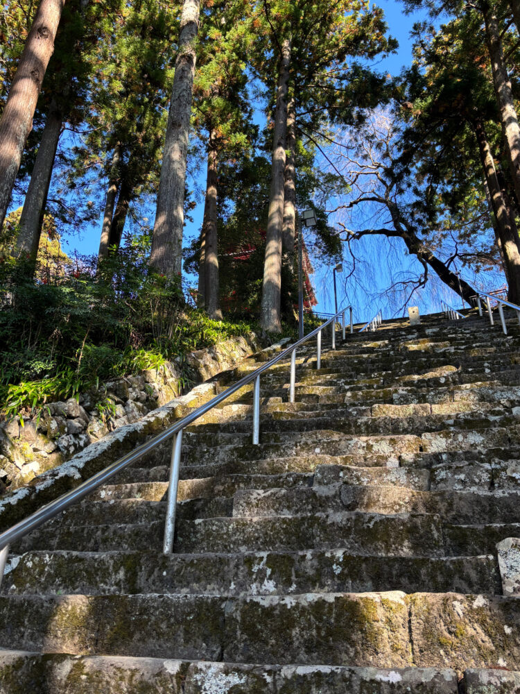菩提梯のゴール付近にある五重塔