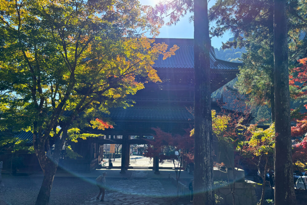 三門と紅葉に染まった木々