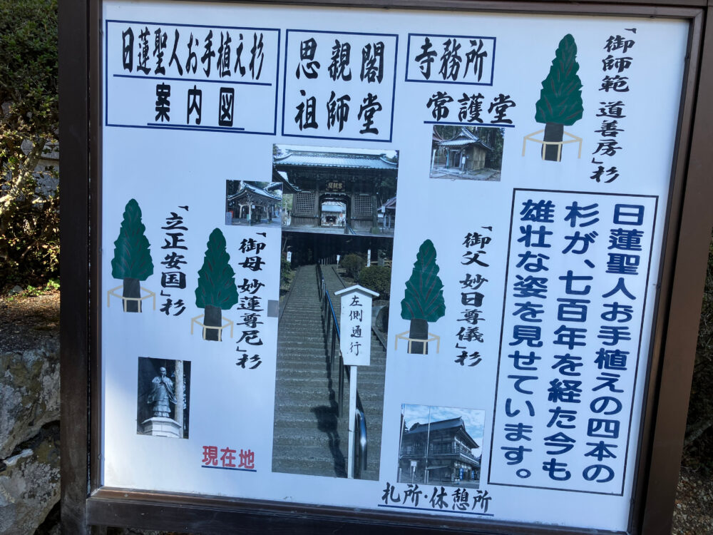 日蓮聖人の御手植え杉についての説明看板