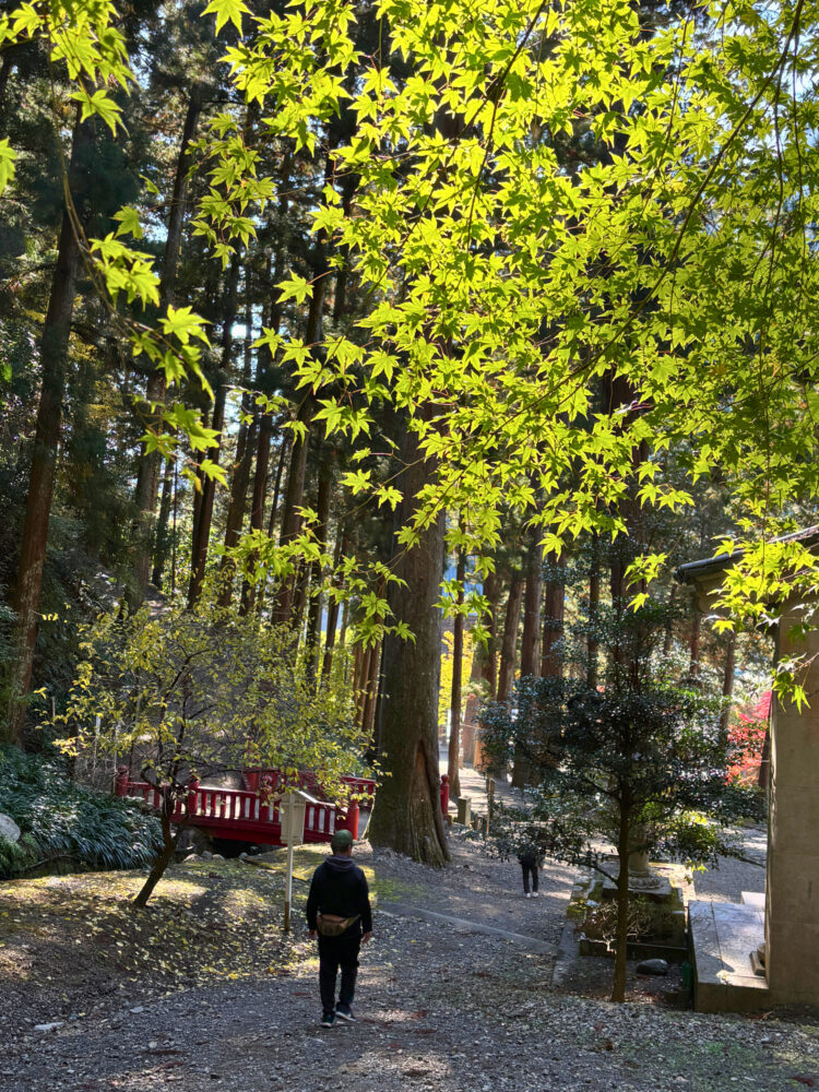 男坂を下る様子