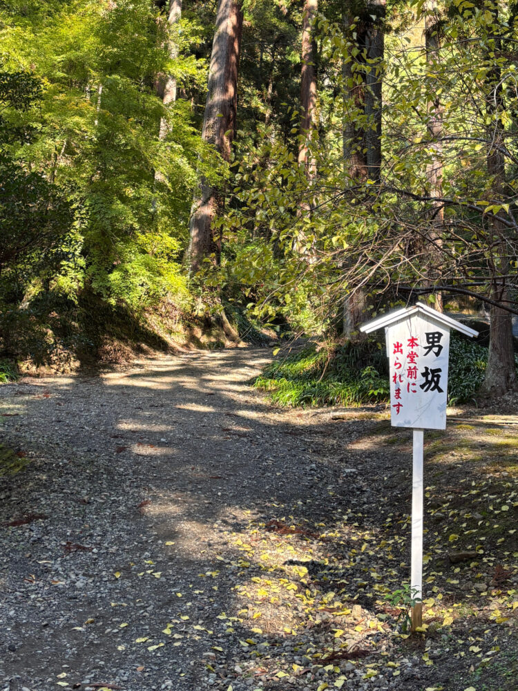 男坂を下ってから振り返って男坂を撮った様子