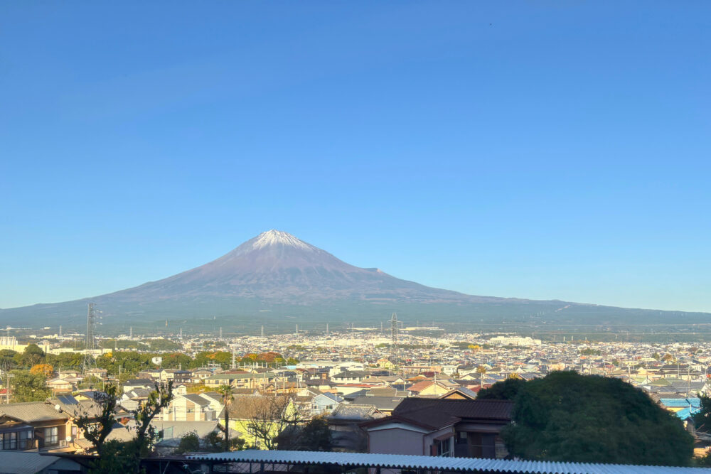 身延線の車内から眺めた午後の富士山