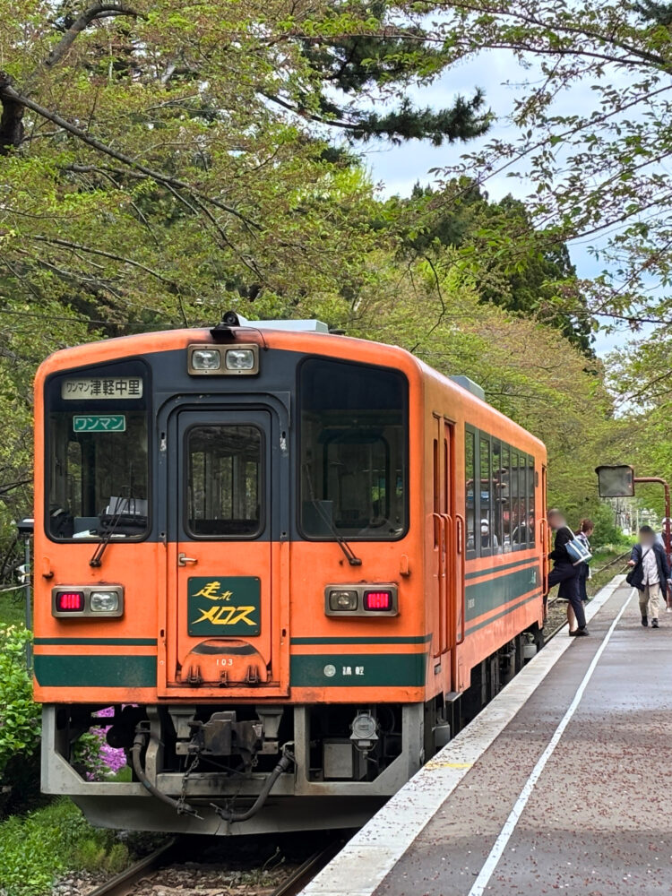 電車に乗り降りする乗客たち。