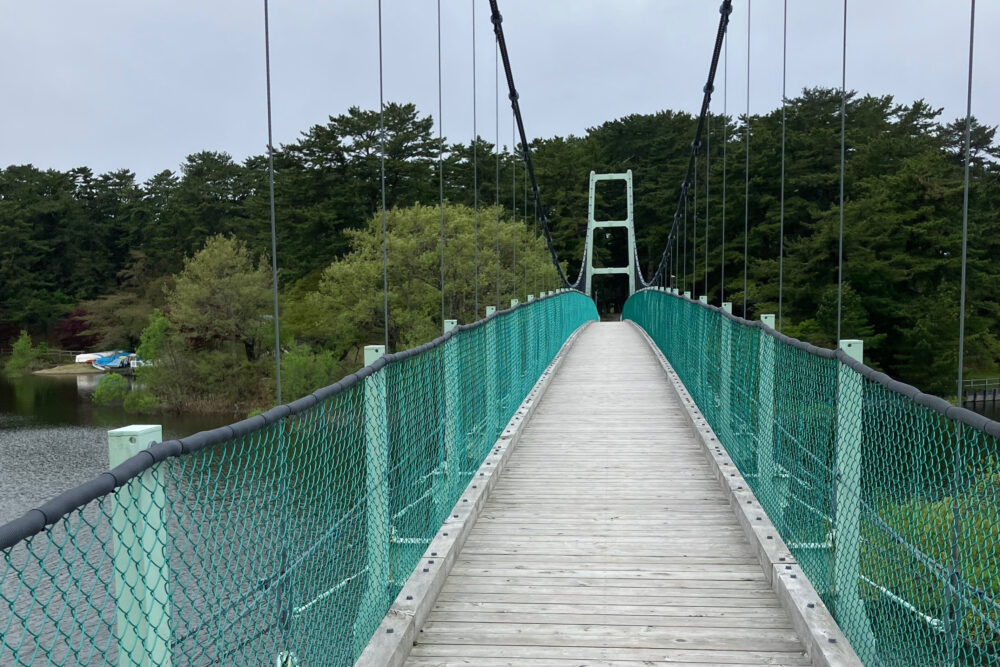桜松橋を渡る様子。