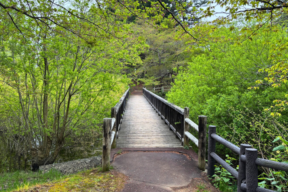 木立に囲まれた小さな太宰橋。