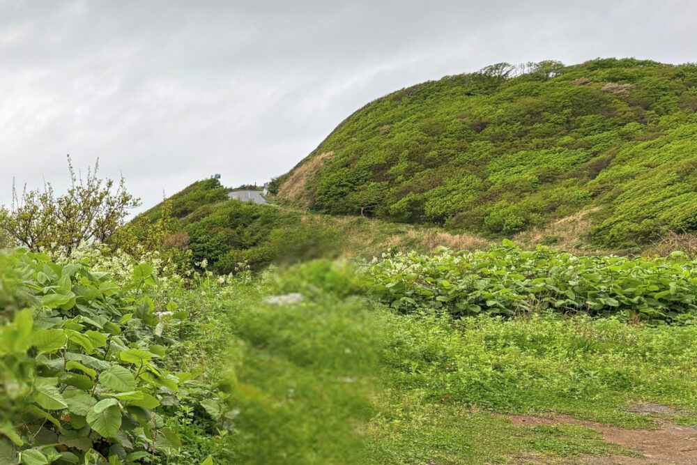竜泊ラインの坂本台周辺の景色。