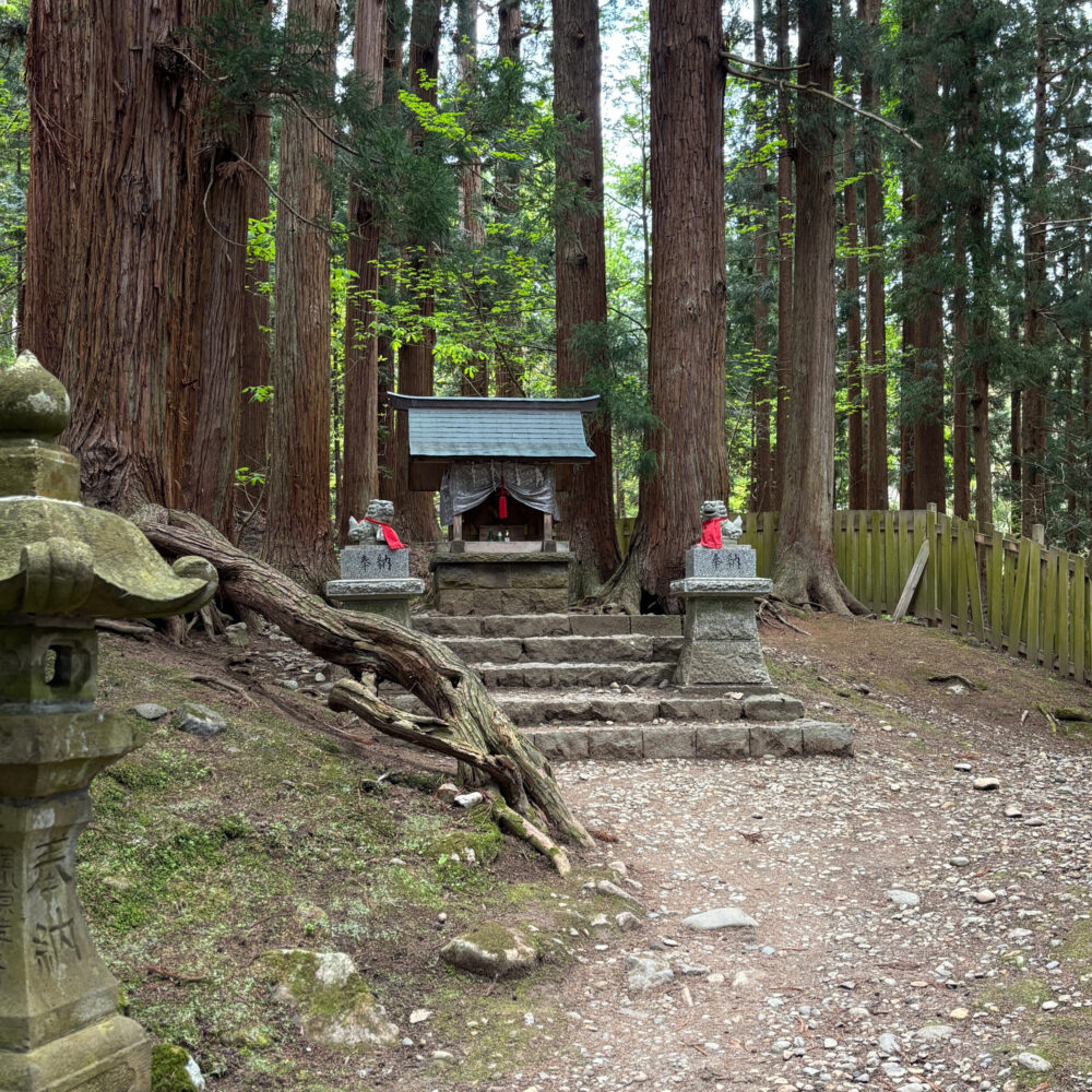 稲荷神社を遠くから撮った写真