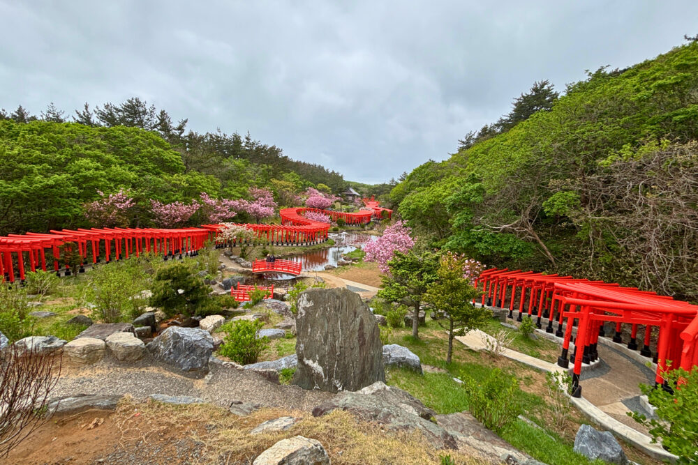 千本鳥居を登った高台から眺めた鳥居。連なった鳥居が龍のよう。