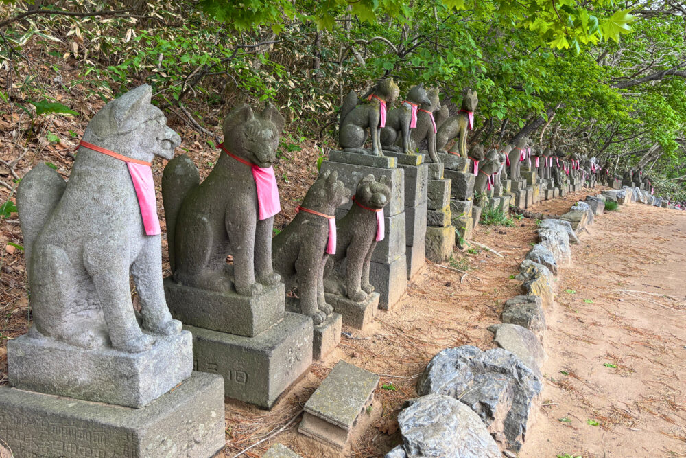 数多く並べられたお稲荷様。