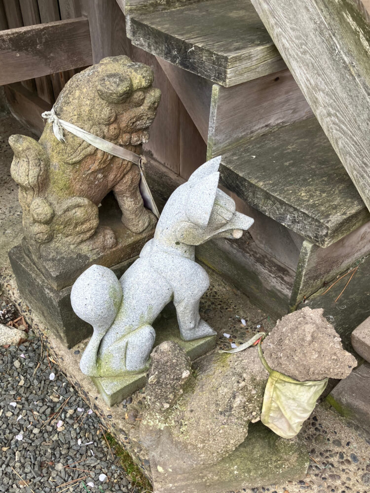 向かって左側の狛犬とお稲荷様。ひっそりと隠されるように置かれている。