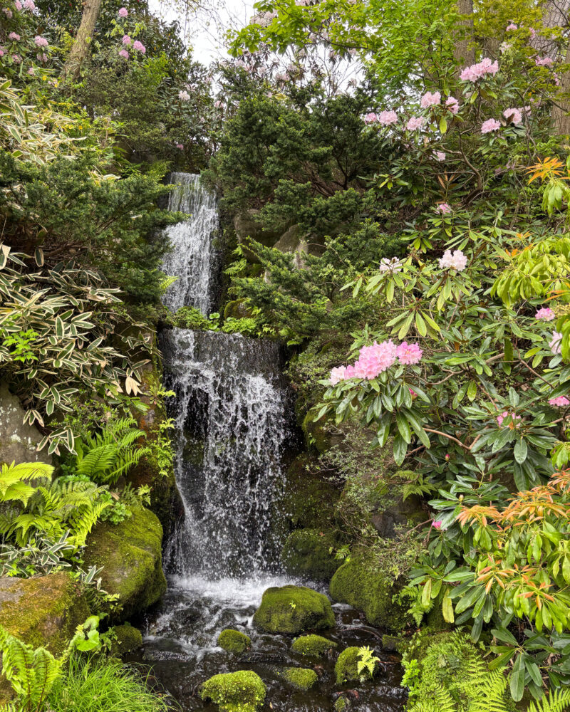 虹橋から見た滝の様子