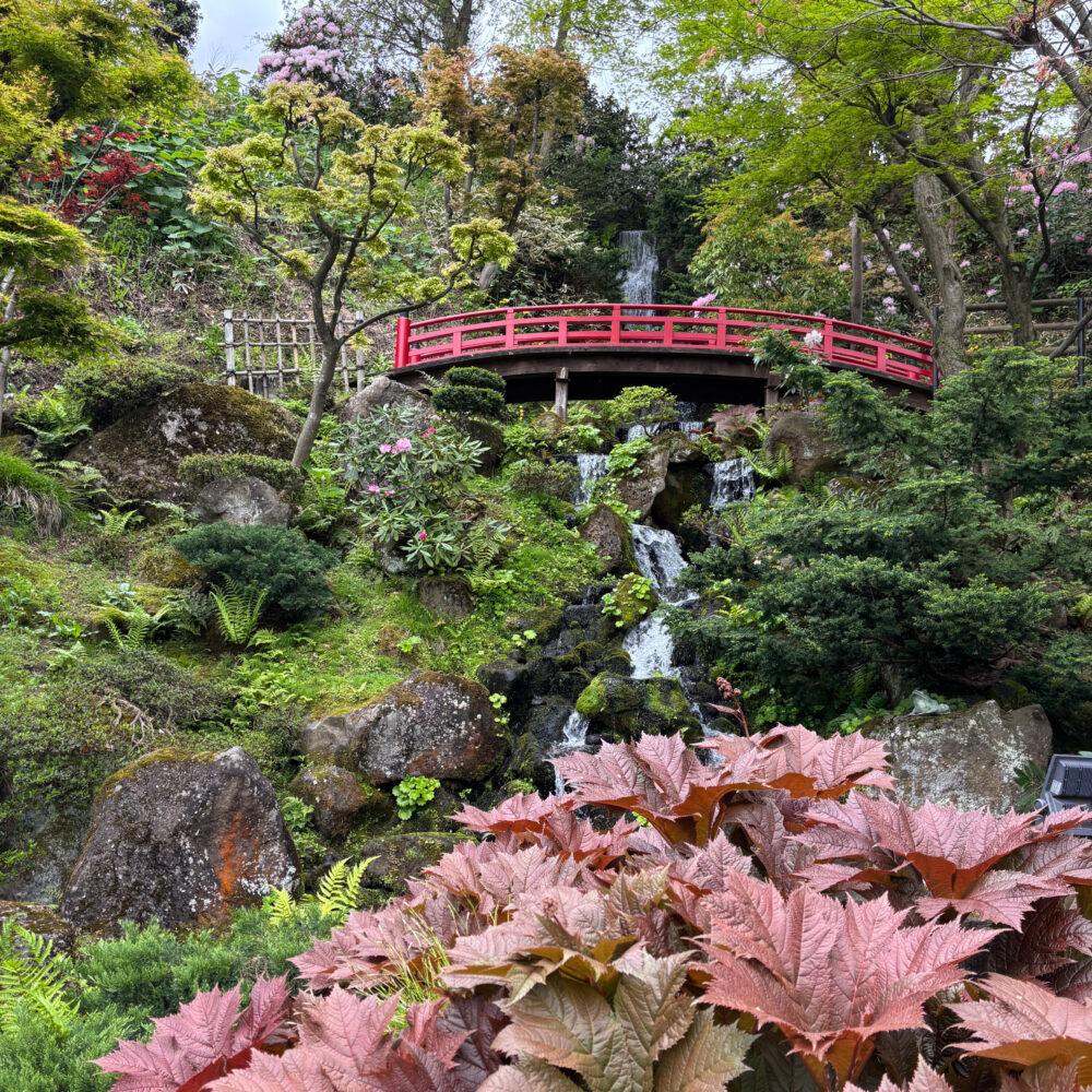 虹橋と滝を低地部から見上げた様子
