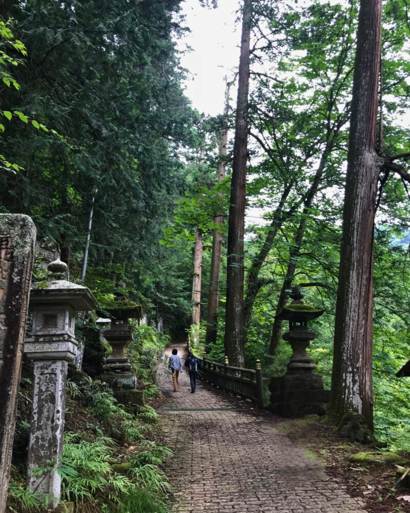 三峯神社の杉並木に囲まれた参道