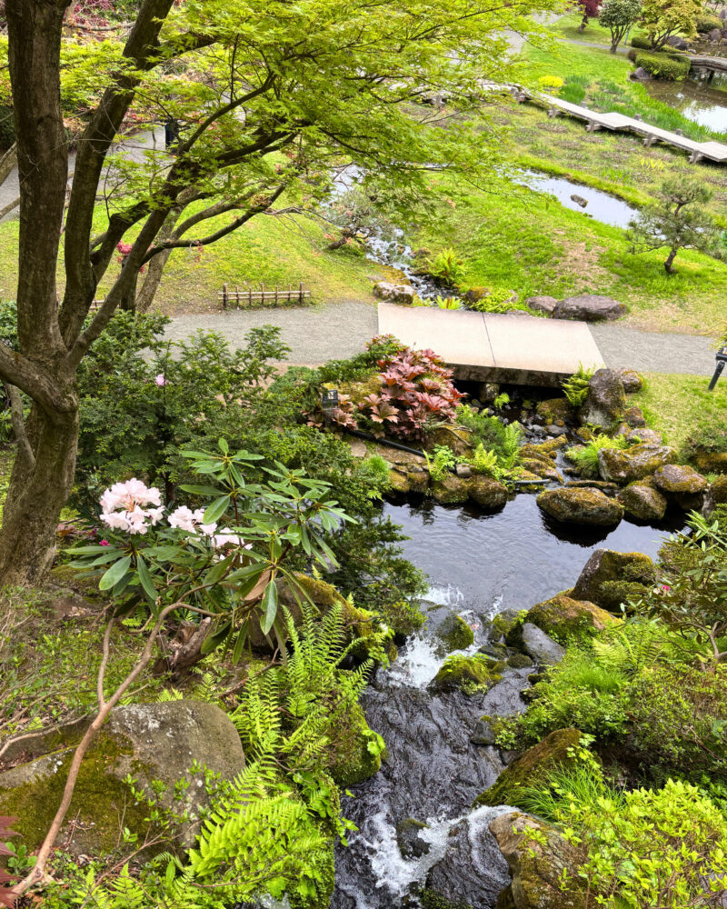 虹橋から見た低地部の様子