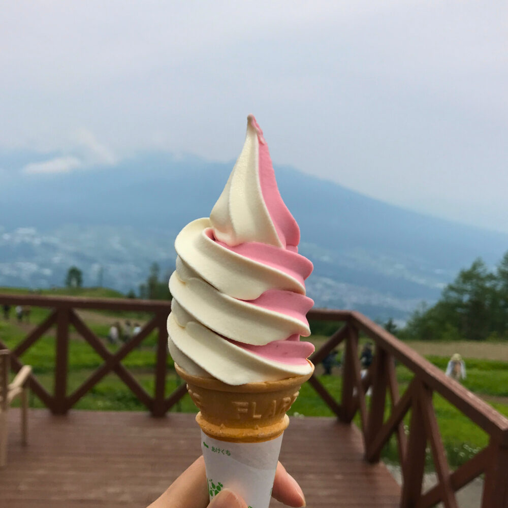入笠山のゴンドラ山頂付近のカフェで食べたソフトクリーム